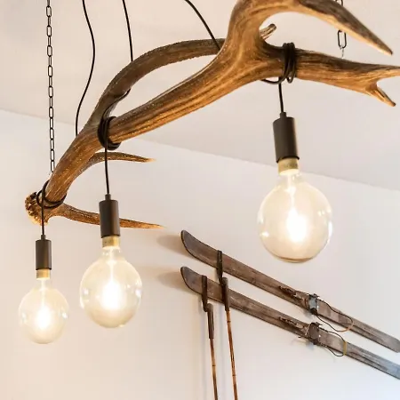 In Zell Am Near 公寓 滨湖采尔